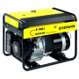 Бензиновый генератор Eisemann P 7401 E в контейнере с АВР