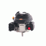 Двигатель бензиновый EVOline XP 225 AE
