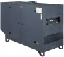 Газовый генератор Gazvolt Standard 22 KT Dnepr 12 с АВР