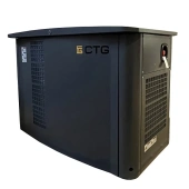 Газовый генератор CTG CG18000SA в кожухе