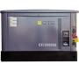 NEW Бензиновый генератор CTG CX12000SA в кожухе